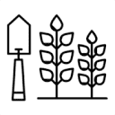 Patch Plants logo